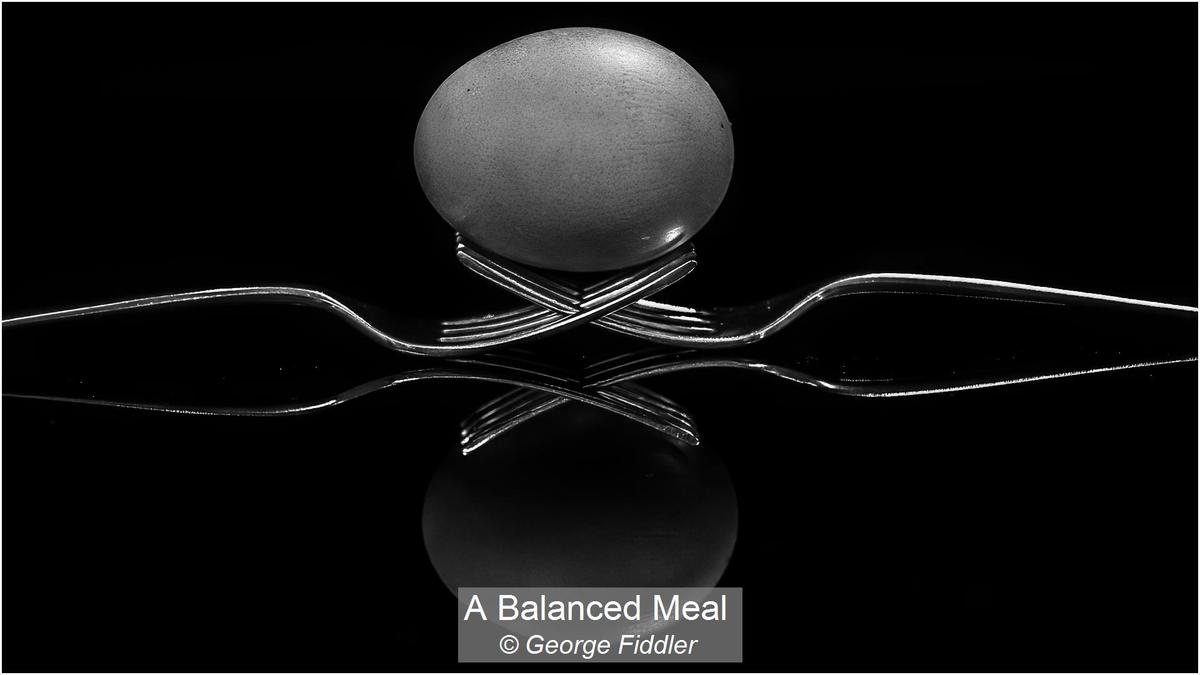 01_A Balanced Meal_George Fiddler